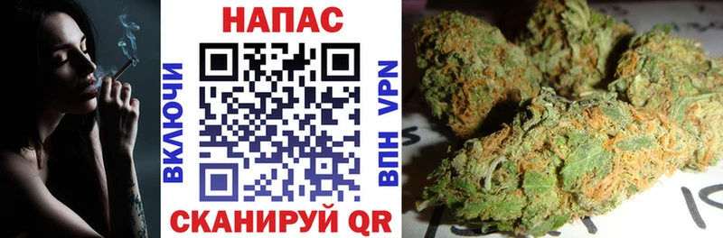 Шишки марихуана MAZAR Шилка